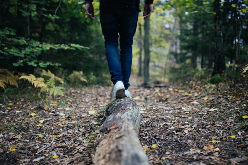 Hiking Trails Near Austin