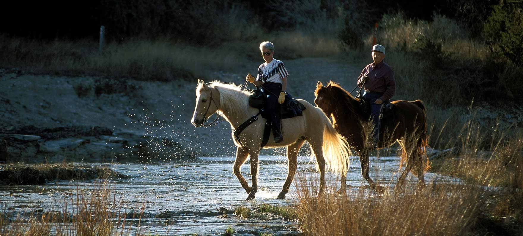 Horseback Riding Trail Near Austin