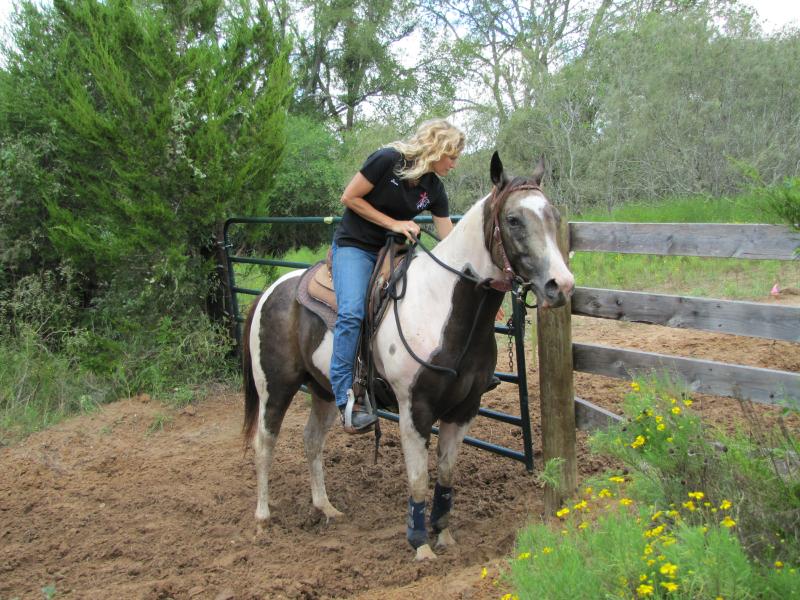 Horseback Riding Trails Near Austin