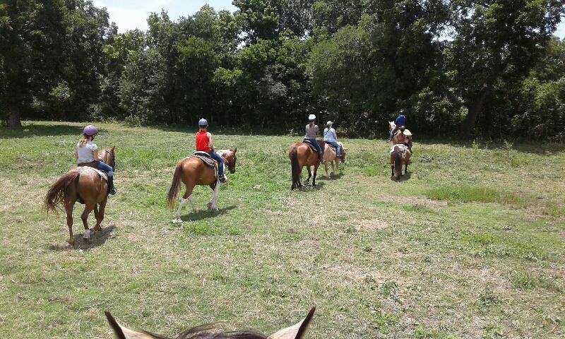 Horseback Riding Austin
