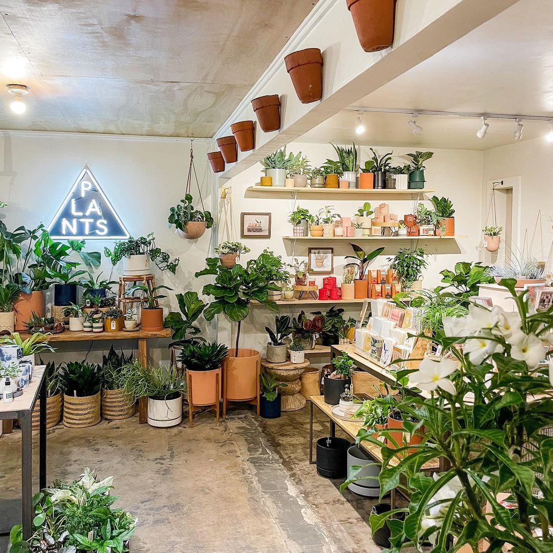 plant shops austin