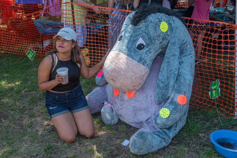 eeyore's birthday party