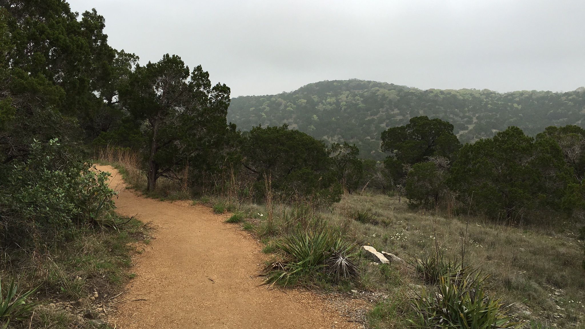 running trails austin