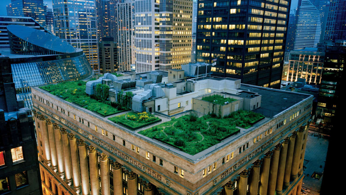 Chicago City Hall