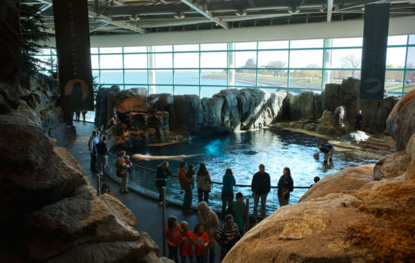 Shedd Aquarium - Oceanramium04 600x380