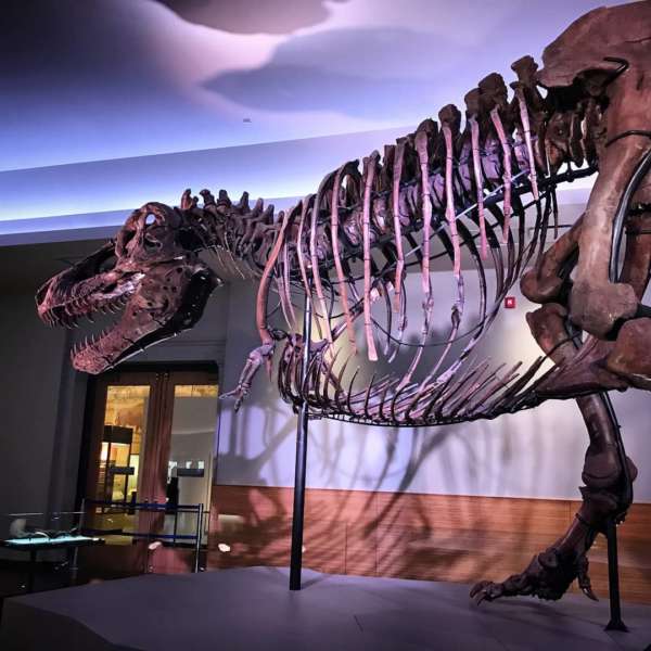 2020 Museum Free Days in Chicago The Complete List UrbanMatter