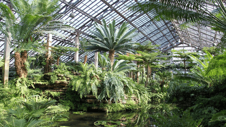 Garfield Park Conservatory