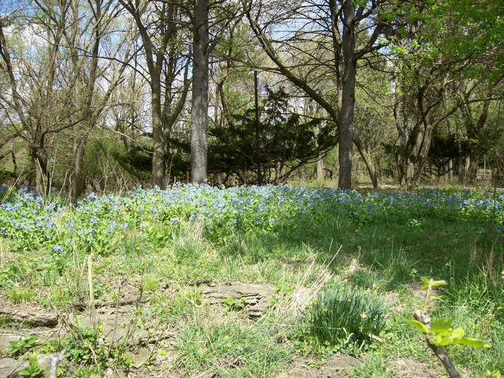 North Park Village Nature Center