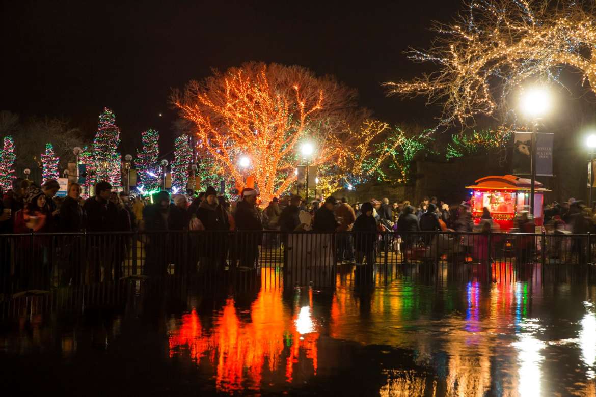 Brookfield vs. Lincoln Park A Zoo Lights Comparison UrbanMatter