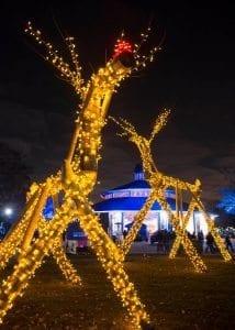 zoo lights