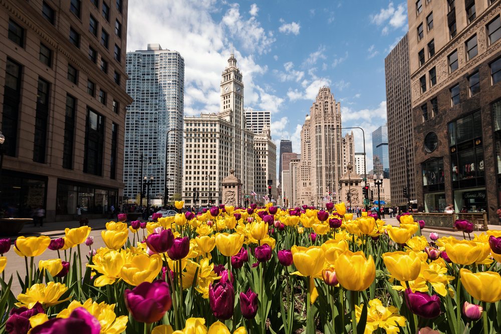 things to do in chicago this spring