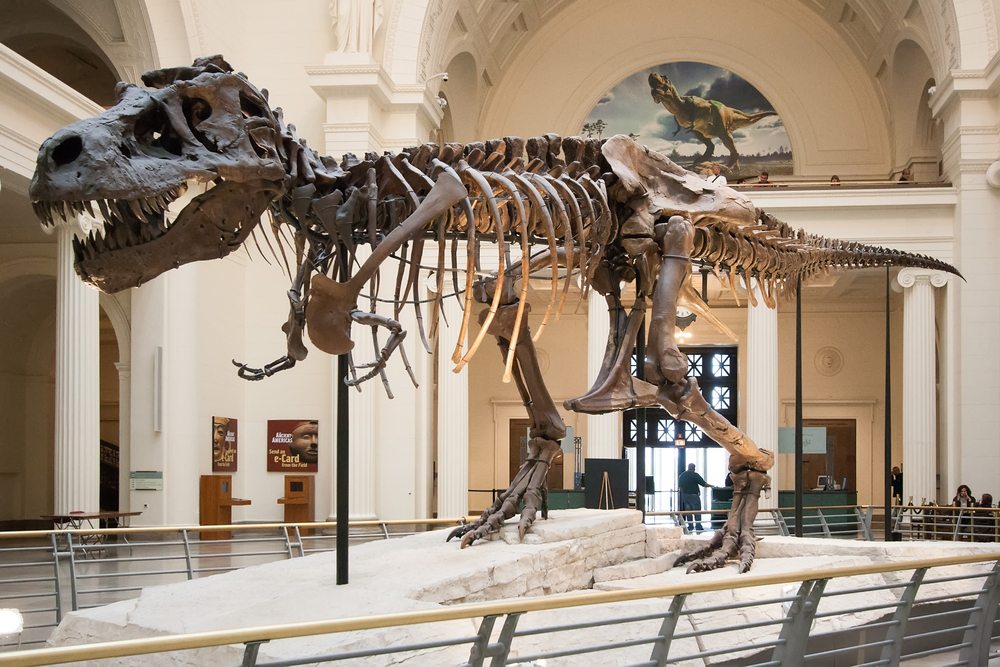Meet Dinosaurs at New 'Jurassic World' Exhibit at the ...