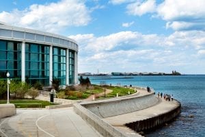 shedd aquarium chicago