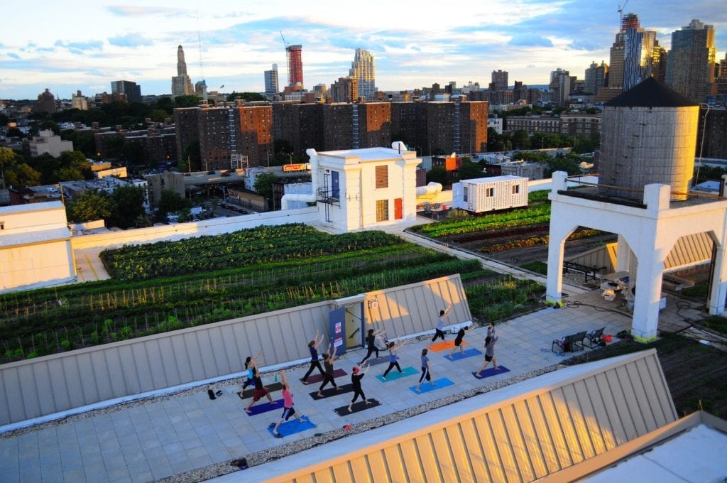 rooftop yoga nyc