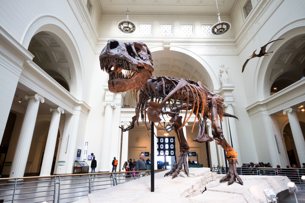 free chicago museum days september