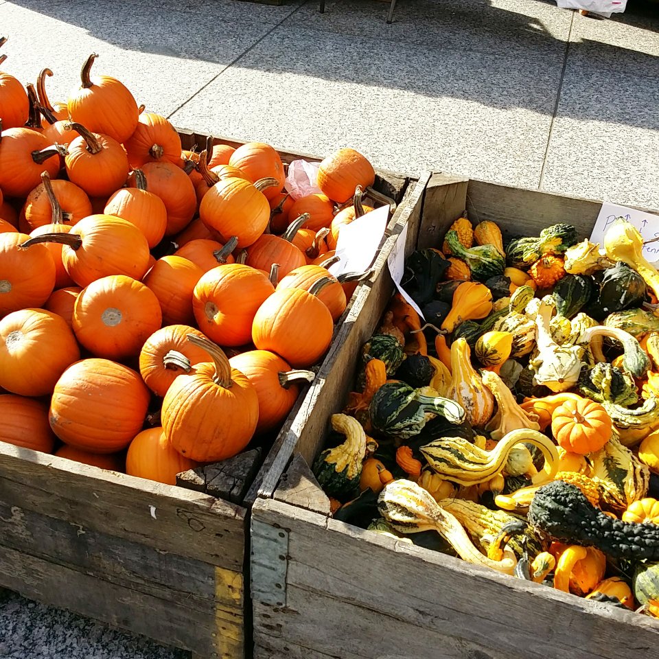 farmers markets