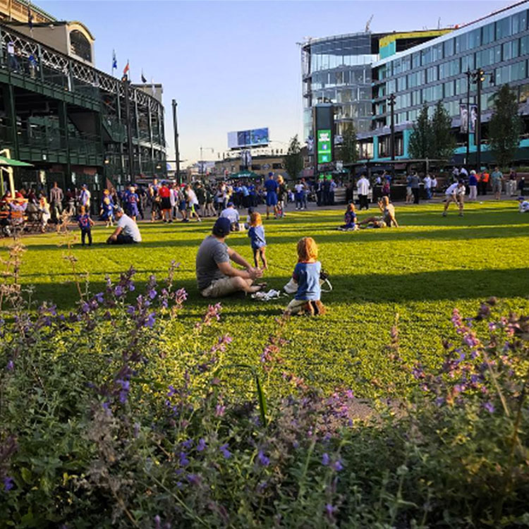 The Park at Wrigley