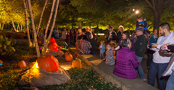 Night of 1000 Jack o Lanterns