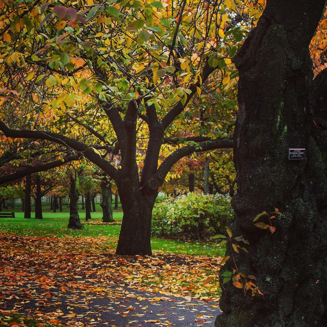 Romantic Places NYC