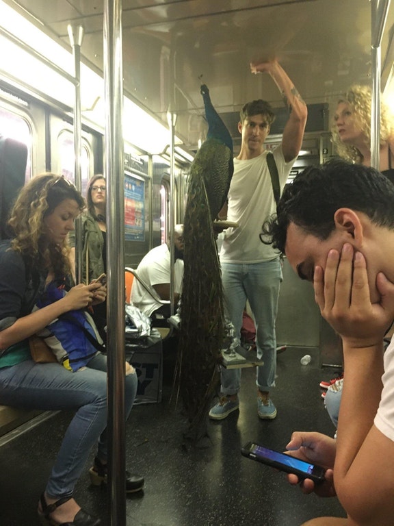 NYC Subway Diaries