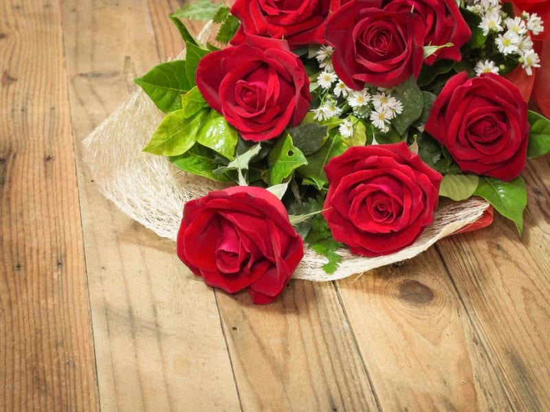 Chicago's Ultimate Valentine's Day Guide UrbanMatter