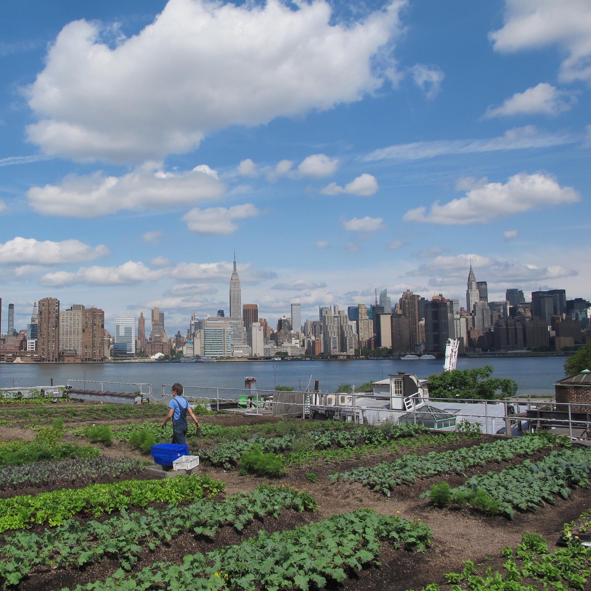 6 Amazing Rooftop Gardens in NYC | UrbanMatter