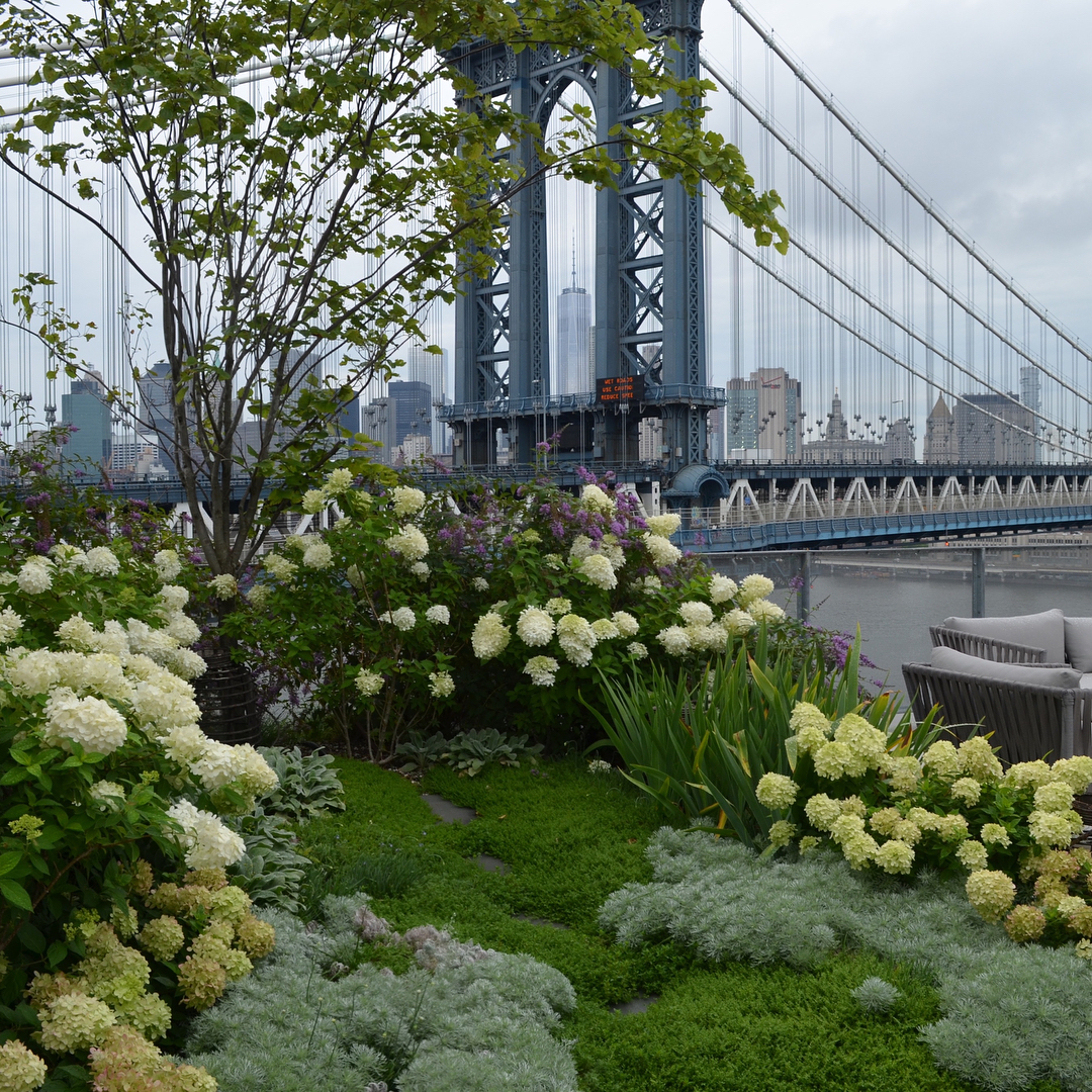 6 Amazing Rooftop Gardens in NYC | UrbanMatter