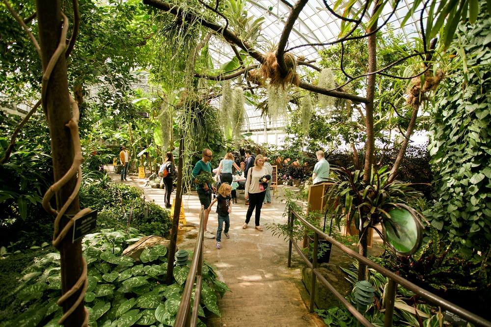 Garfield Park Conservatory