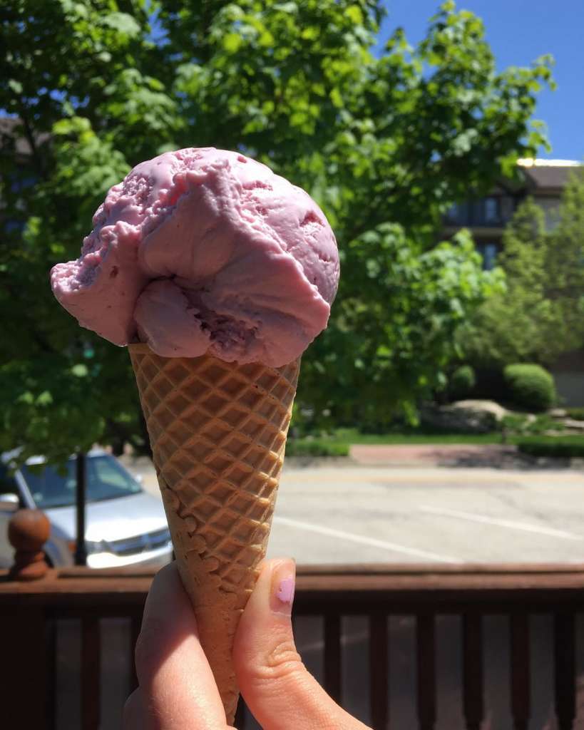Where to Get the Best Ice Cream in Chicago This Summer UrbanMatter