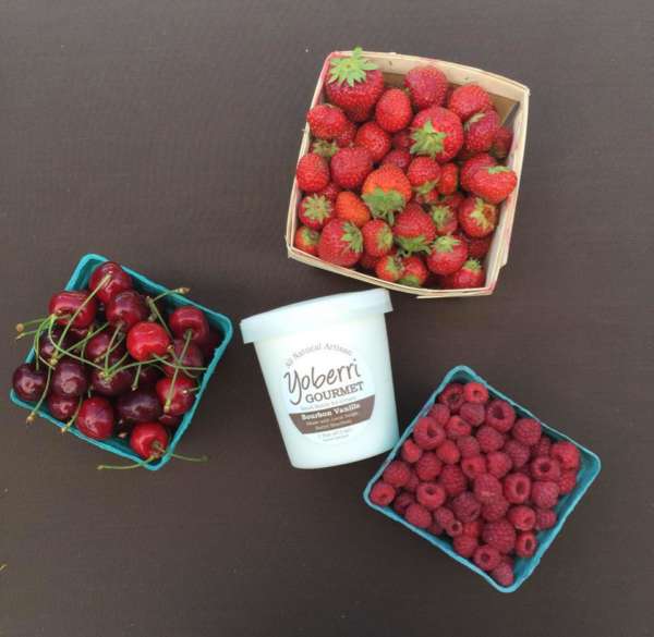 15 Frozen Yogurt Places You Have to Try This Summer UrbanMatter