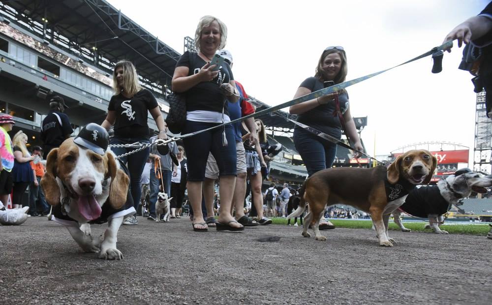 White Sox