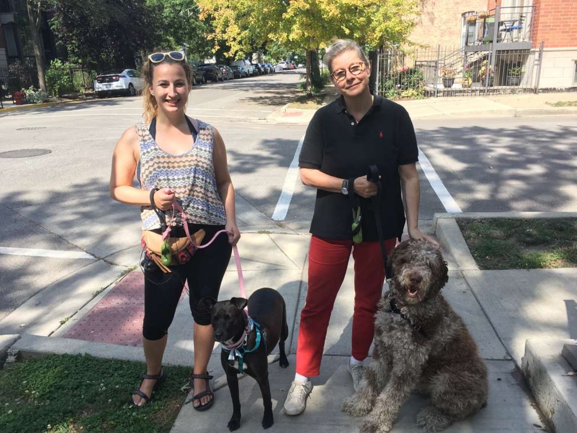 Windy City Dog Walkers