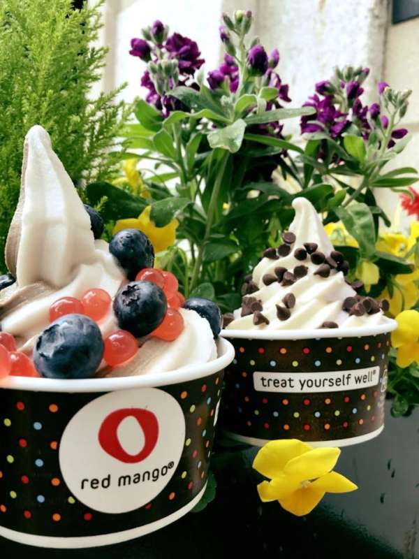 15 Frozen Yogurt Places You Have to Try This Summer UrbanMatter