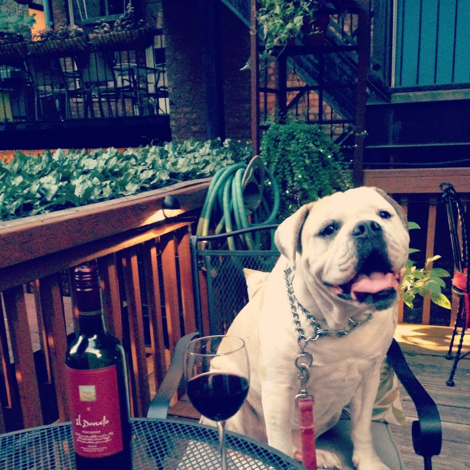 Madison Vine Wines