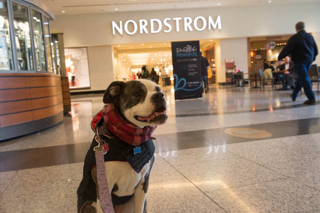 Nordstroms