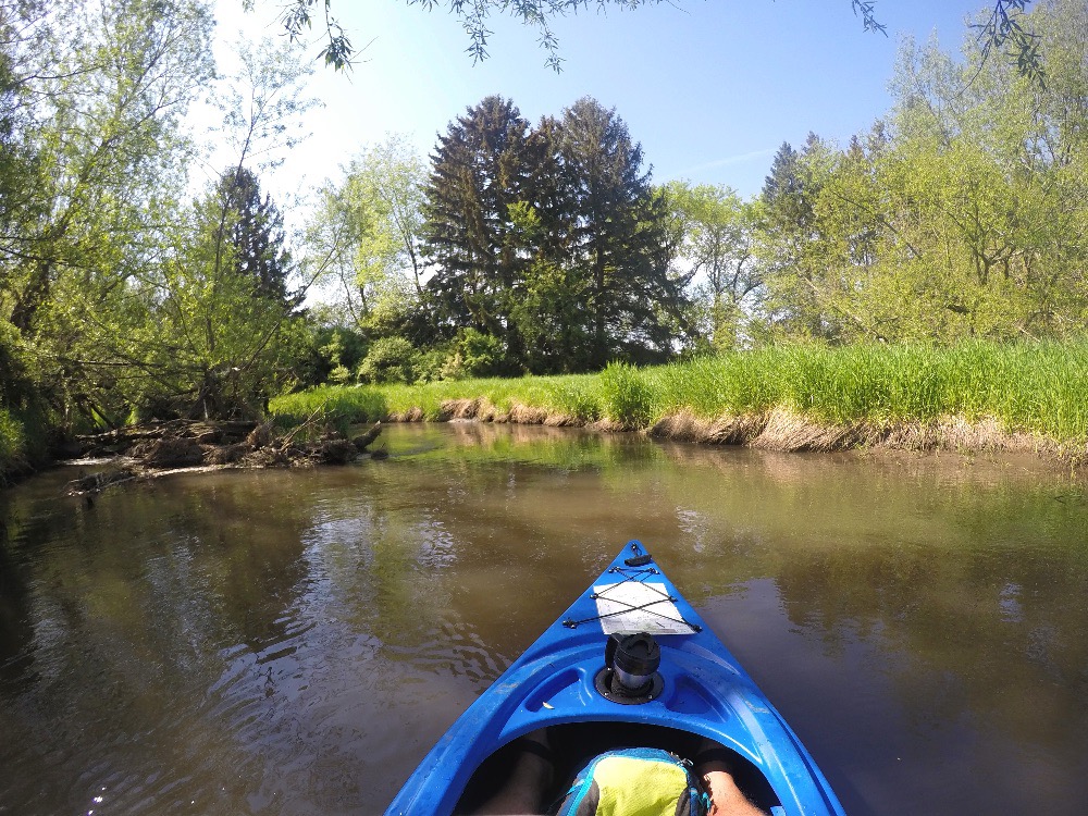 Sugar River canoeing