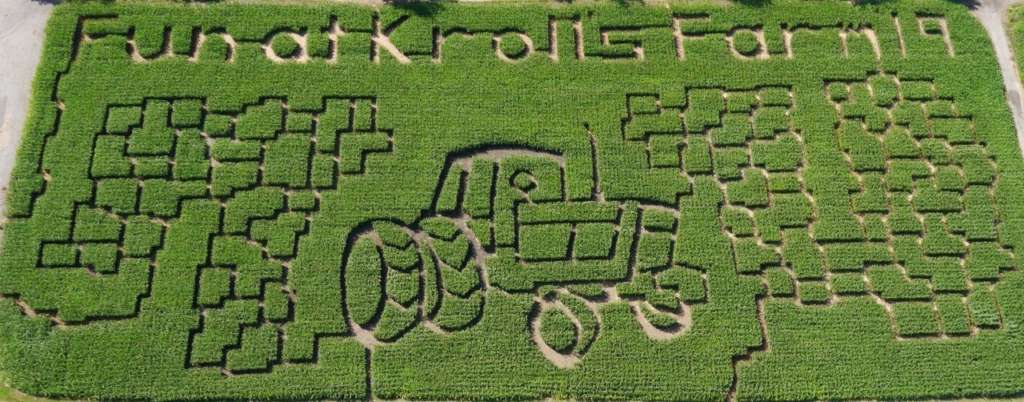 corn mazes 