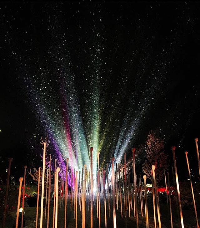 Morton Arboretum