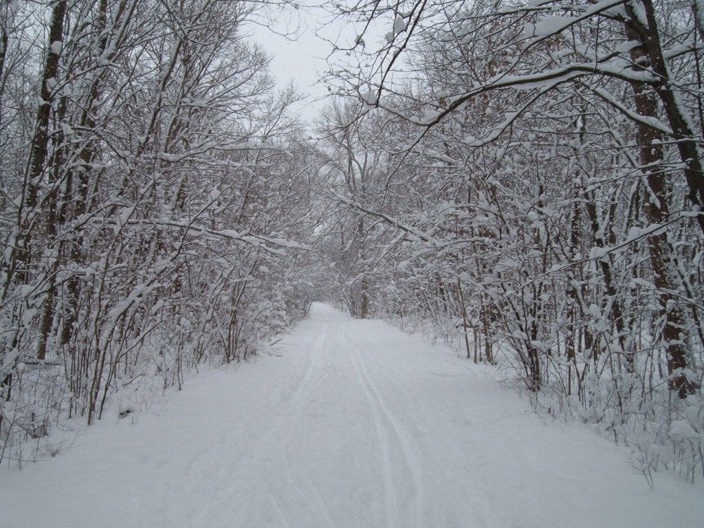 Chicagoland cross-country skiing