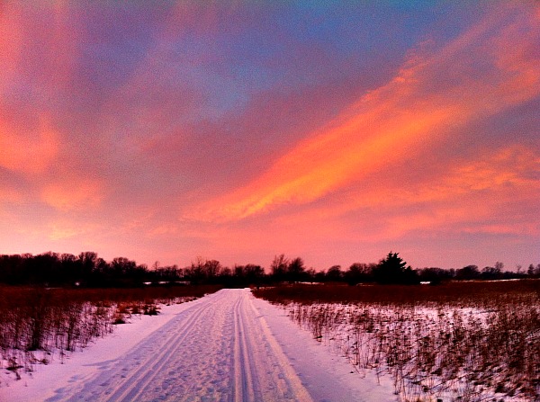 Blackwell Forest Preserve