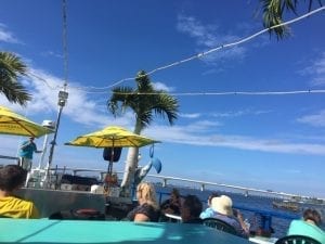 Exploring Sarasota Bay with Eco-Tours. Photo by Mira Temkin