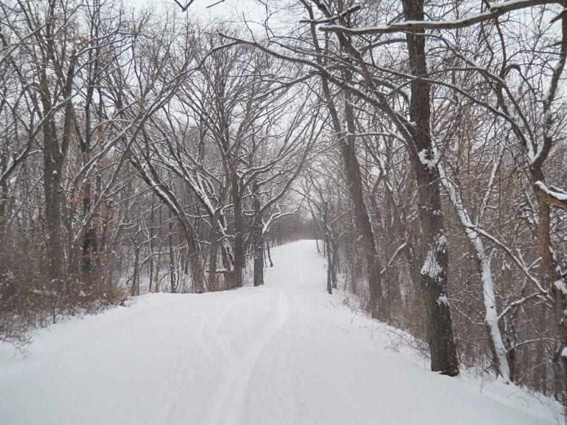 5 Chicagoland CrossCountry Skiing Adventures to Try This Winter