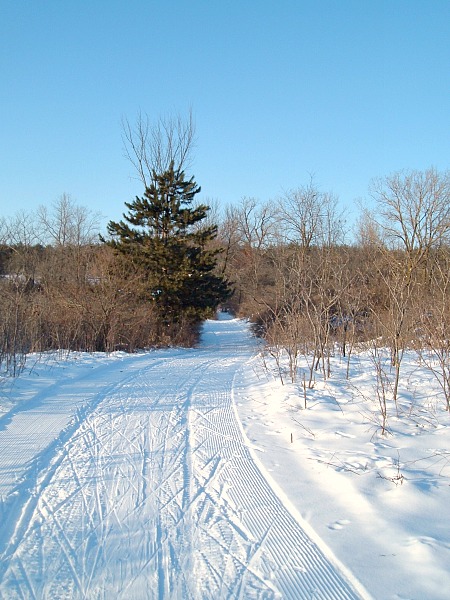 Rock Cut State Park