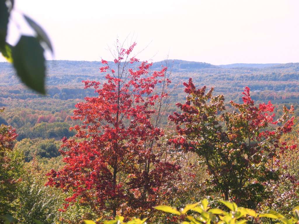 Traverse City, MI is a fall escape.