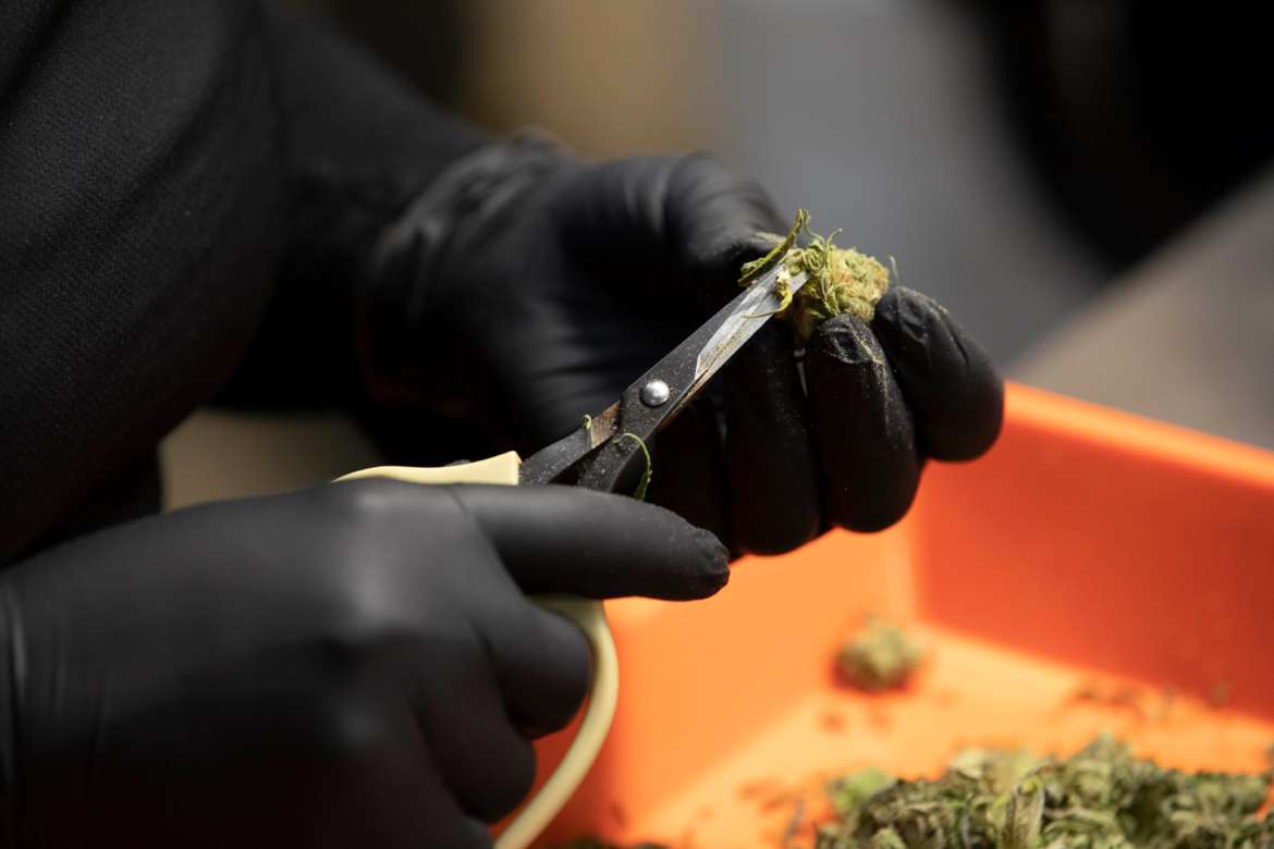 medical dispensaries