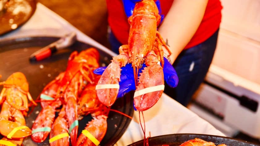 lobster fest