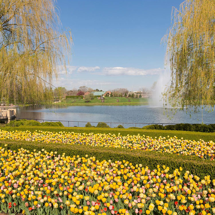 chicago botanic garden