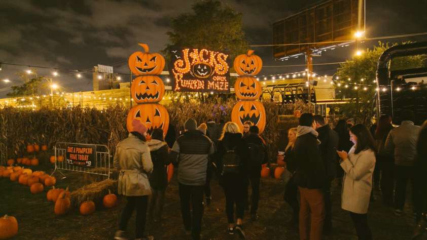 jacks pumpkin pop-up
