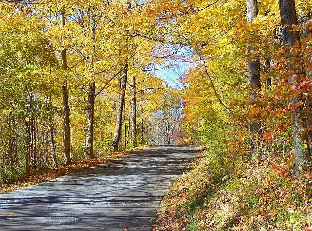 This back road in northern Door county wound around a golden forest before heading back to Hwy 42. (J Jacobs photo)