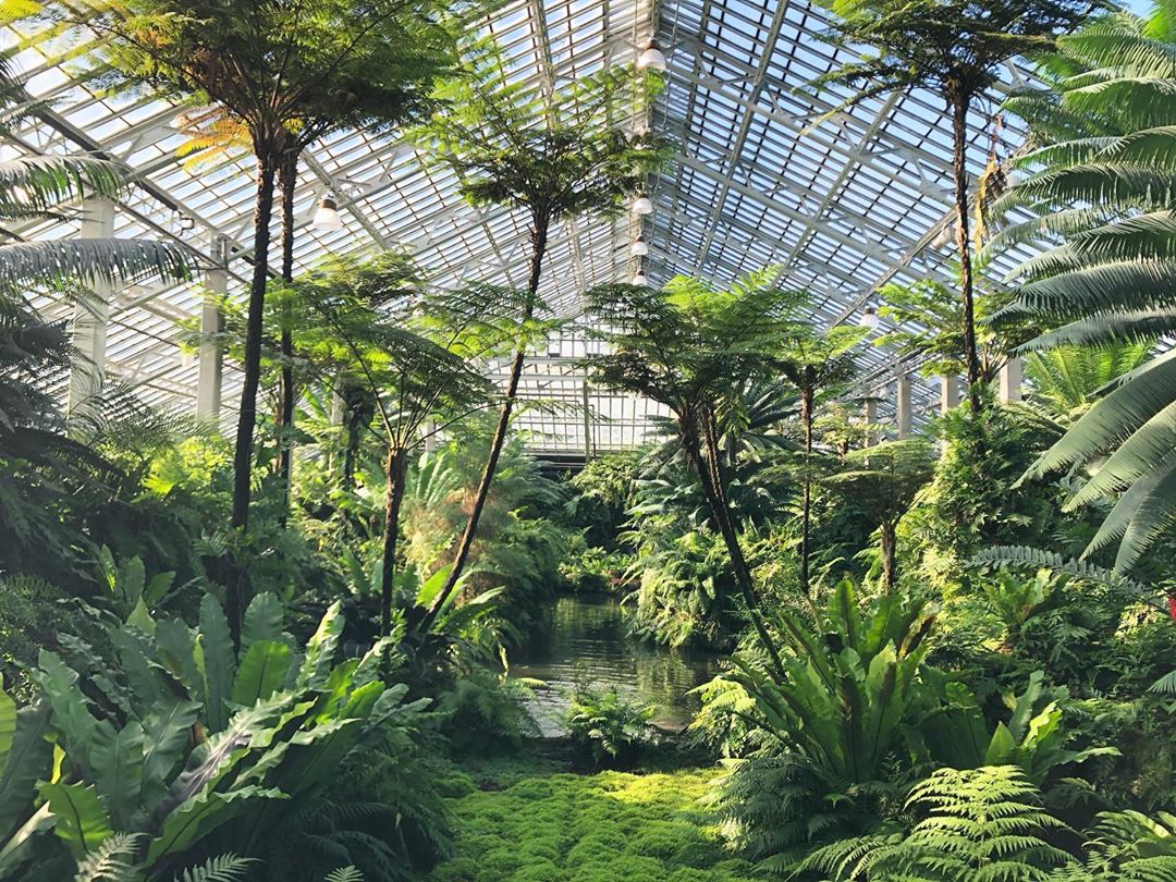 Garfield Park Conservatory